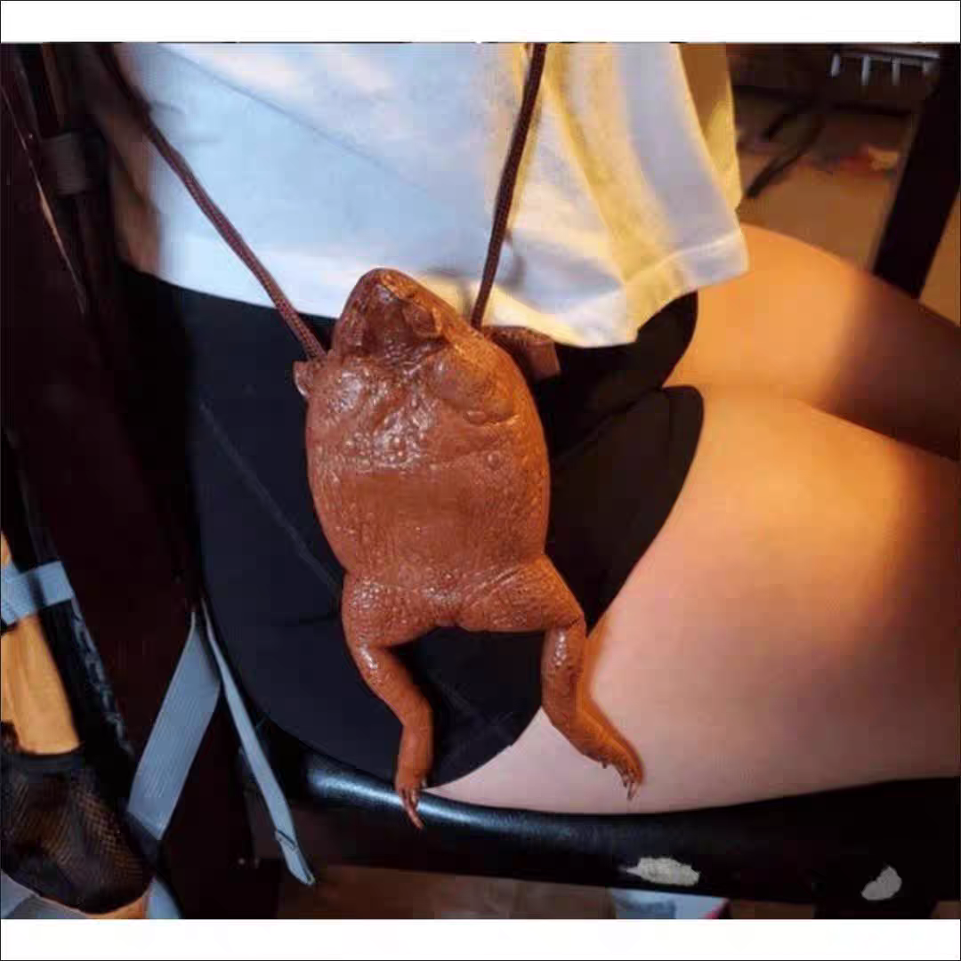 Funny Money Frog Coin Purse ๐ธ Lucky Toad Gag Gift & Photo Prop