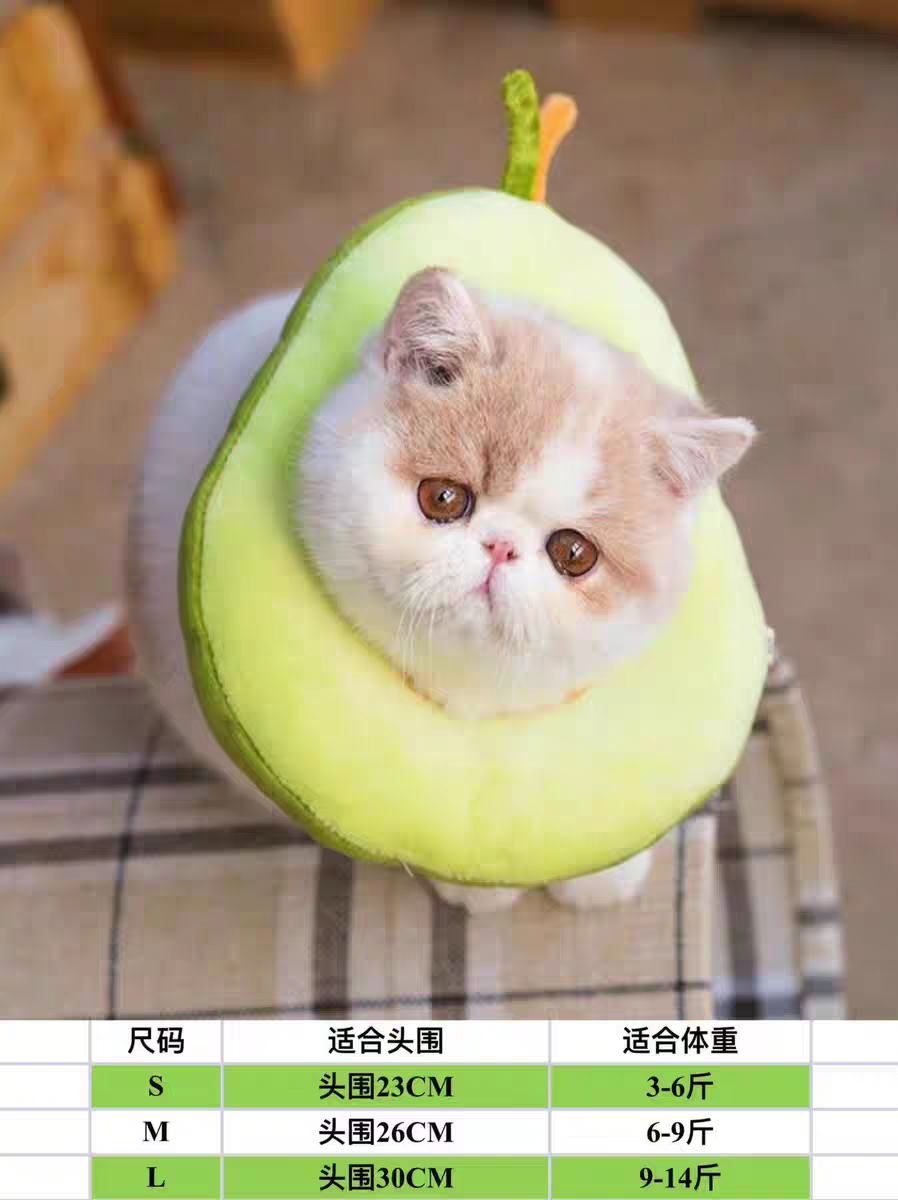 Cat Recovery Collar 🐱 Soft Elizabeth Cone Cute Anti-Lick Neck Ring Pet