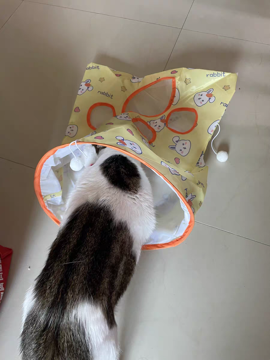Cat Tunnel Toy ๐พ Crinkle Bag with Teaser Wand & Mouse Pet Play Fun