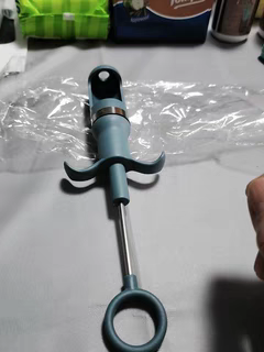 Stainless Steel Jujube & Hawthorn Pitter π Multi-Function Fruit Corer Tool