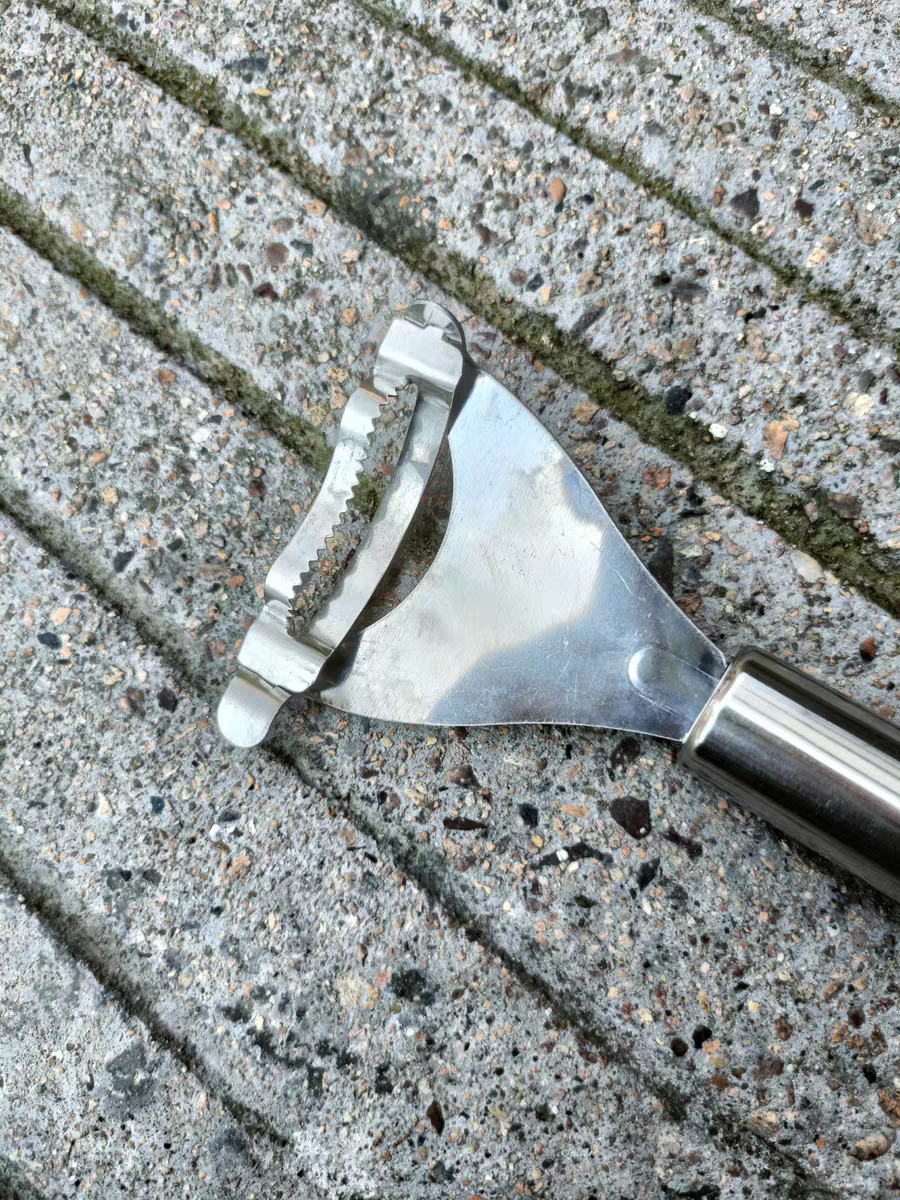 Stainless Steel Corn Stripper 🌽 Easy Kernel Remover Kitchen Tool
