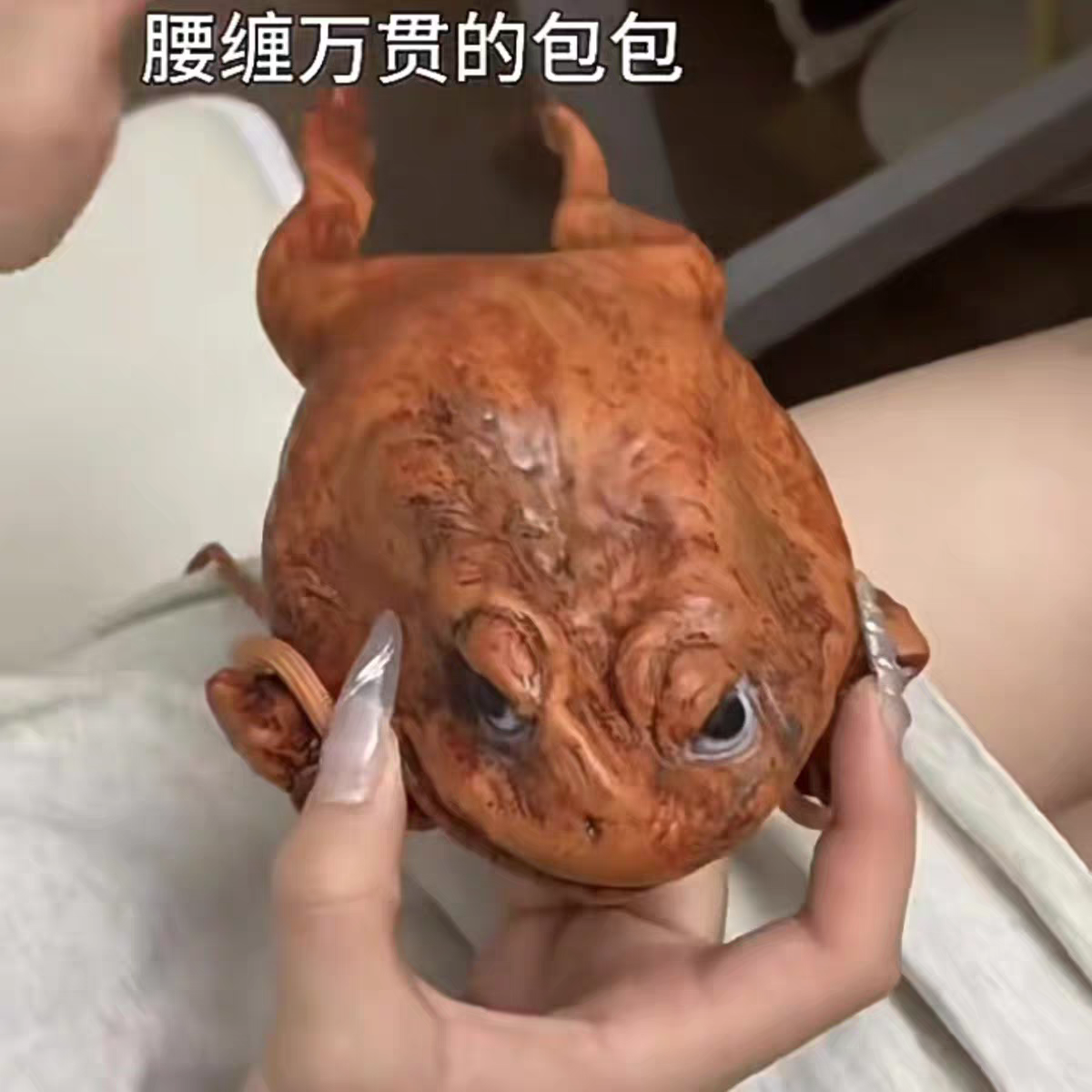 Funny Money Frog Coin Purse ๐ธ Lucky Toad Gag Gift & Photo Prop