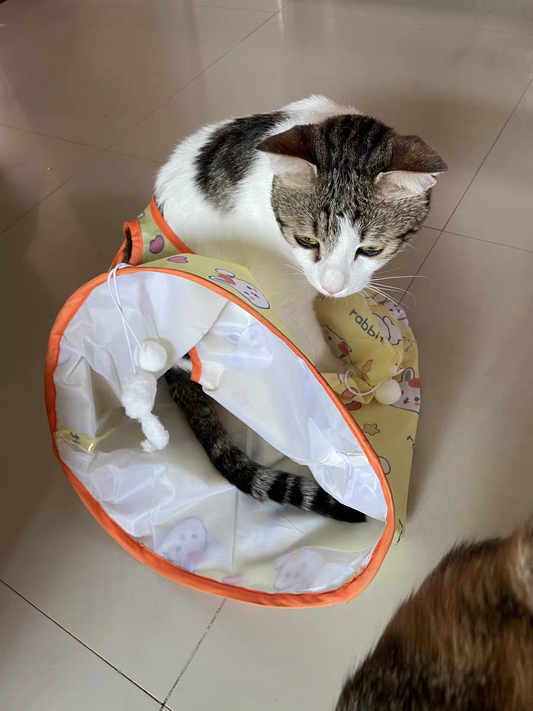 Cat Tunnel Toy 🐾 Crinkle Bag with Teaser Wand & Mouse Pet Play Fun