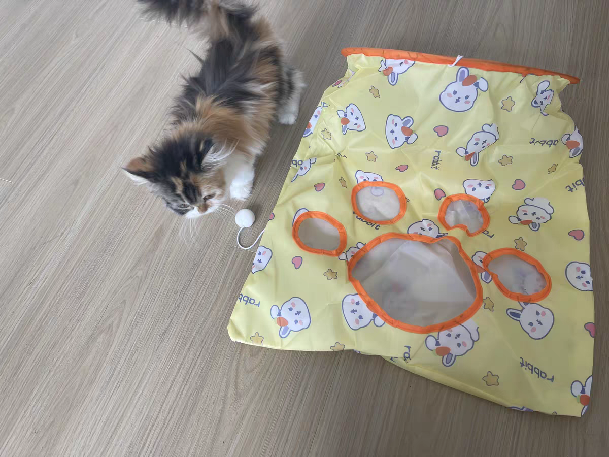 Cat Tunnel Toy 🐾 Crinkle Bag with Teaser Wand & Mouse Pet Play Fun