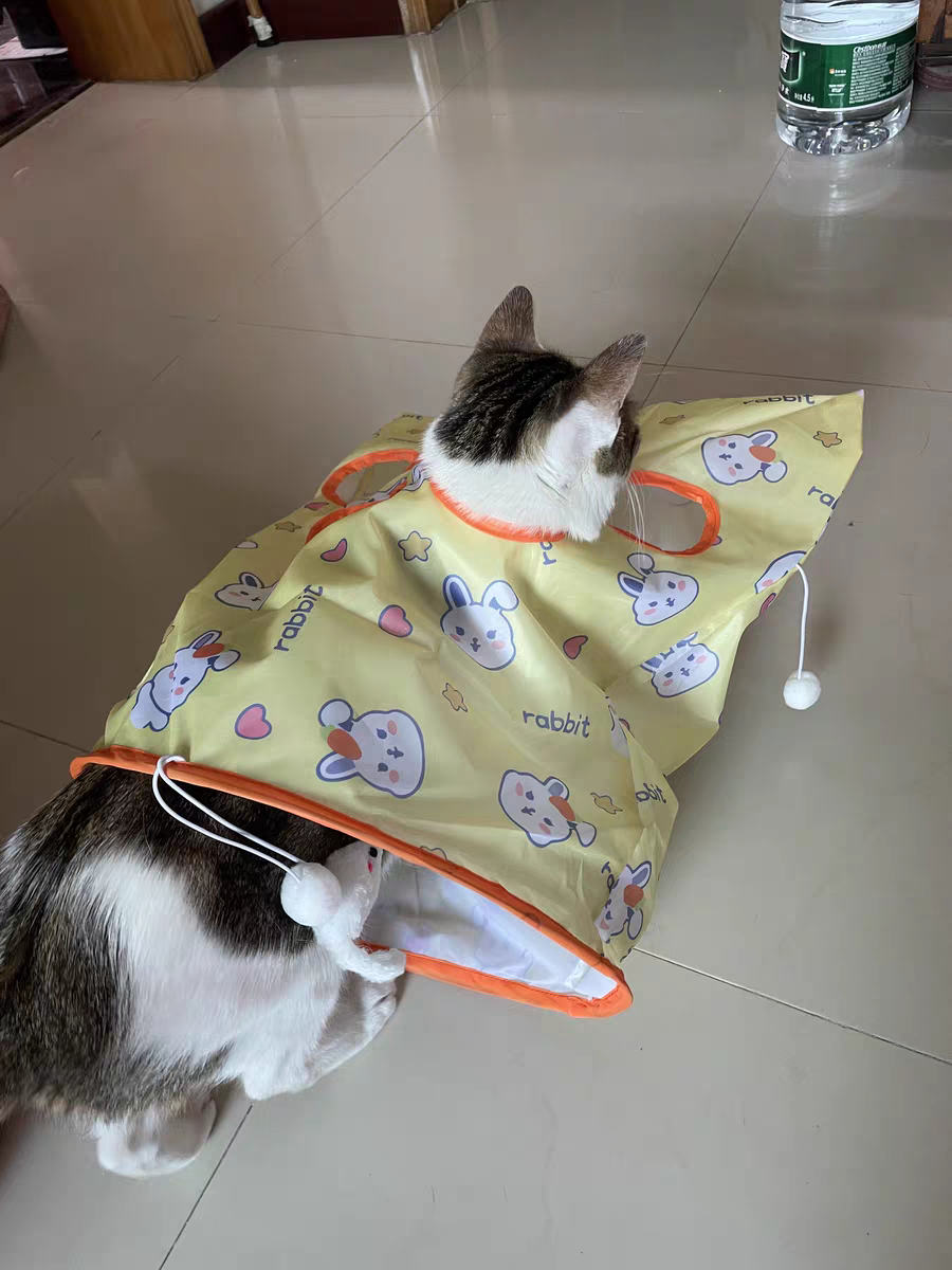 Cat Tunnel Toy 🐾 Crinkle Bag with Teaser Wand & Mouse Pet Play Fun