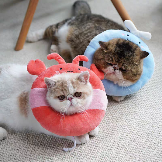 Cat Recovery Collar 🐱 Soft Elizabeth Cone Cute Anti-Lick Neck Ring Pet
