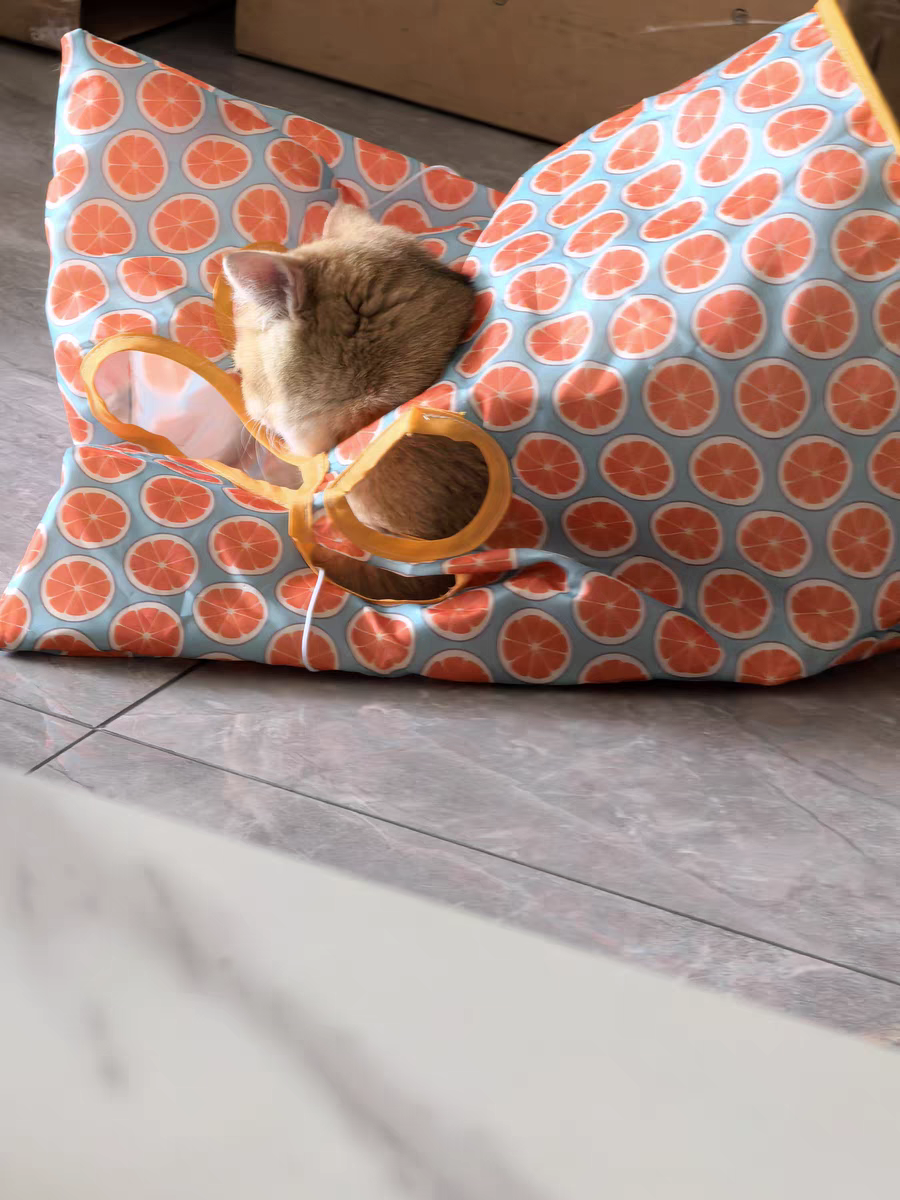 Cat Tunnel Toy 🐾 Crinkle Bag with Teaser Wand & Mouse Pet Play Fun