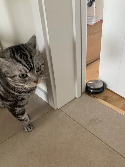 Heavy Duty Solid Rubber Door Stop 🚪 Non-Slip Silent Windproof Door Holder