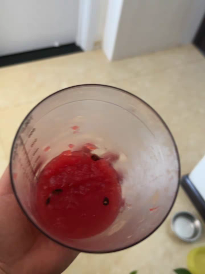 Stainless Steel Shaker Cup 🍹 DIY Lemon Tea & Milk Tea Mixer Cocktail Tool