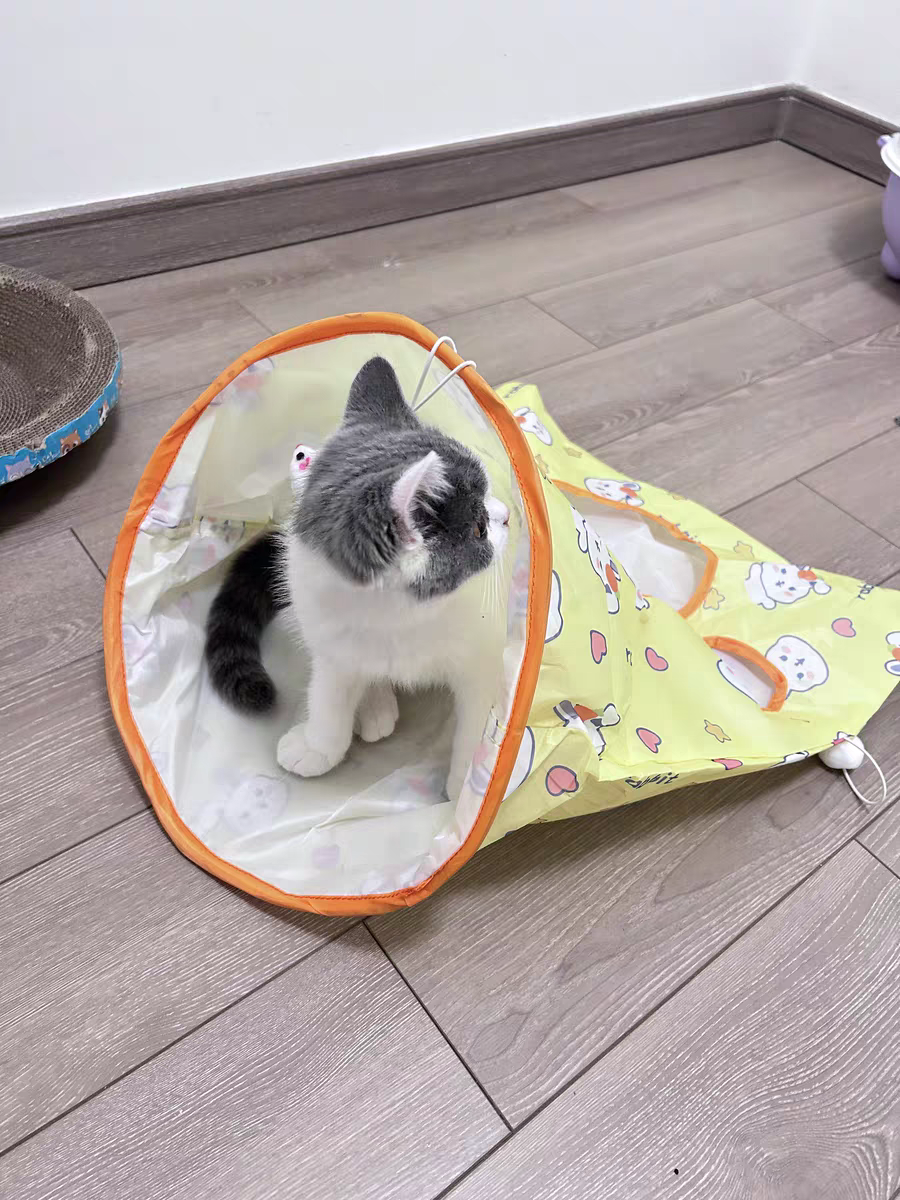 Cat Tunnel Toy 🐾 Crinkle Bag with Teaser Wand & Mouse Pet Play Fun