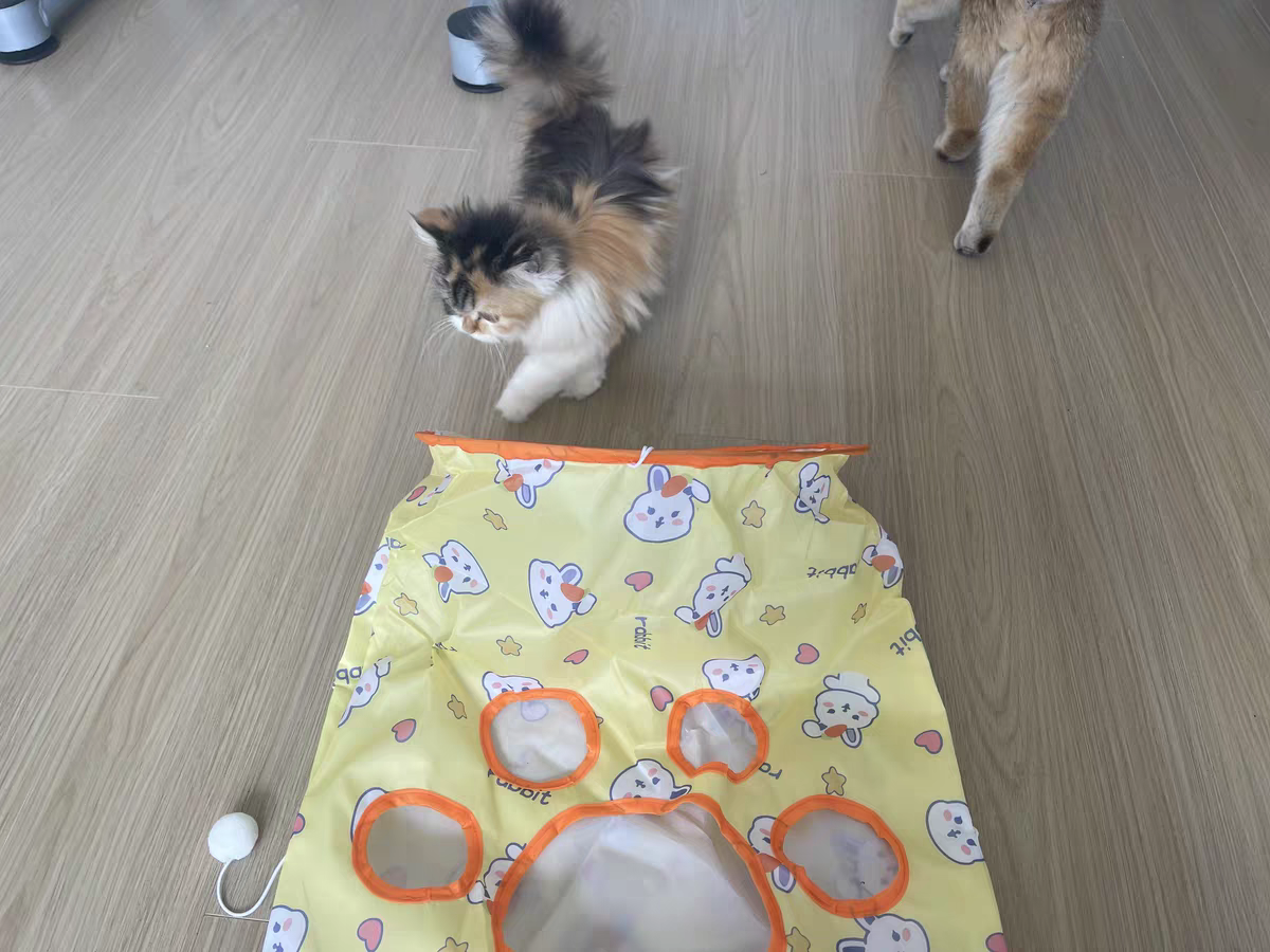 Cat Tunnel Toy 🐾 Crinkle Bag with Teaser Wand & Mouse Pet Play Fun