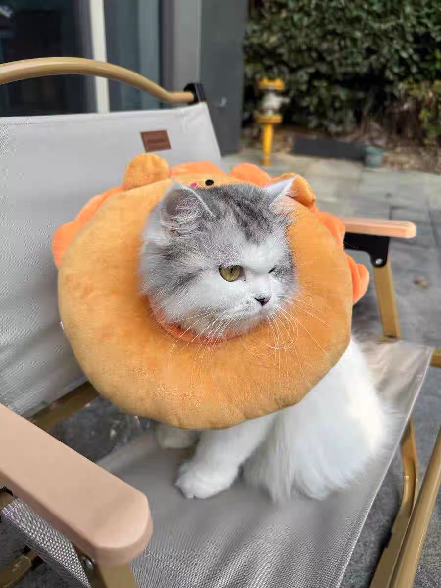 Cat Recovery Collar 🐱 Soft Elizabeth Cone Cute Anti-Lick Neck Ring Pet