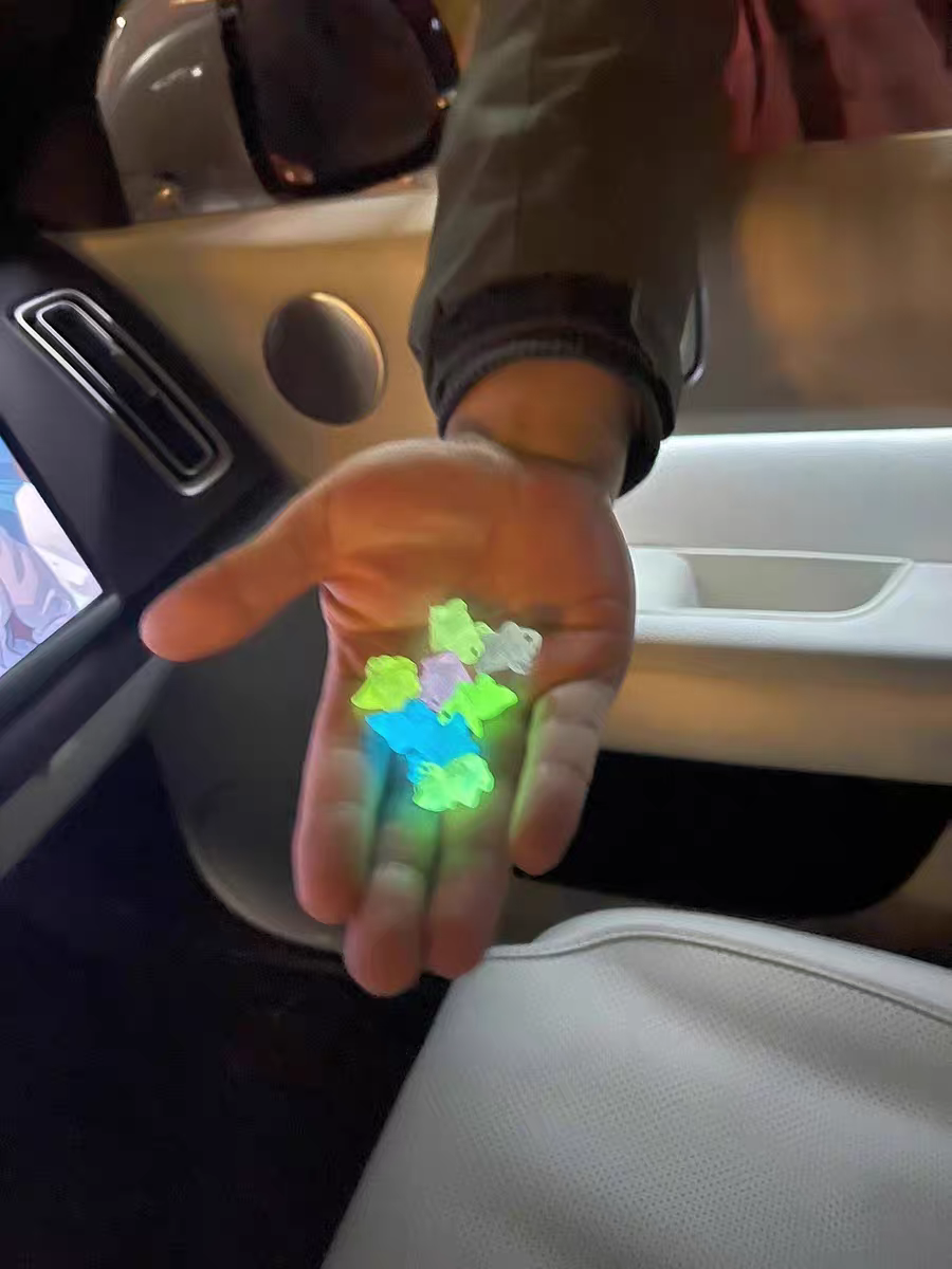 Mini Glow-in-the-Dark Dinosaur 🦖 Jurassic Animal Figure Mystery Toy Gift
