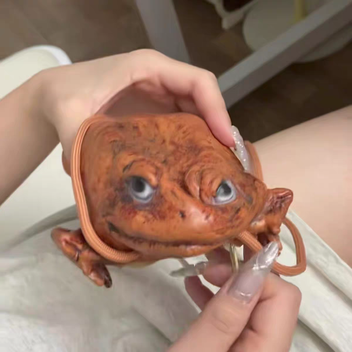 Funny Money Frog Coin Purse 🐸 Lucky Toad Gag Gift & Photo Prop