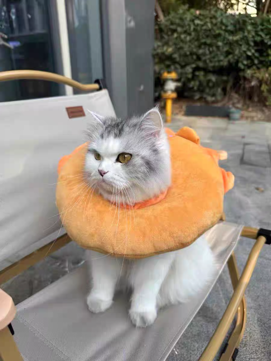 Cat Recovery Collar 🐱 Soft Elizabeth Cone Cute Anti-Lick Neck Ring Pet