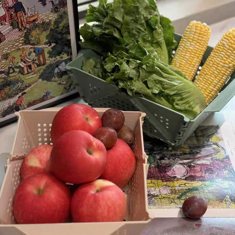 Collapsible Sink Strainer Basket 🥦 Foldable Kitchen Wash Basin & Fruit Drainer