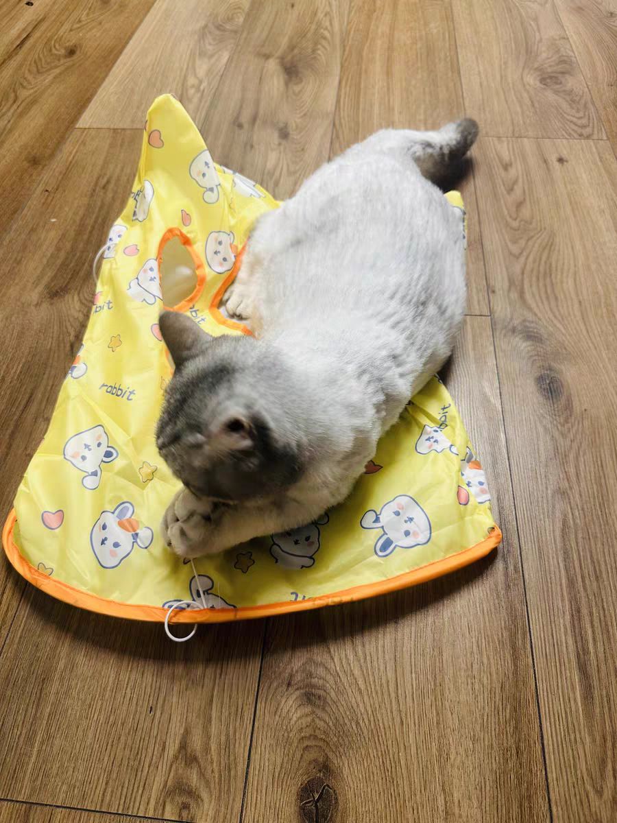 Cat Tunnel Toy 🐾 Crinkle Bag with Teaser Wand & Mouse Pet Play Fun