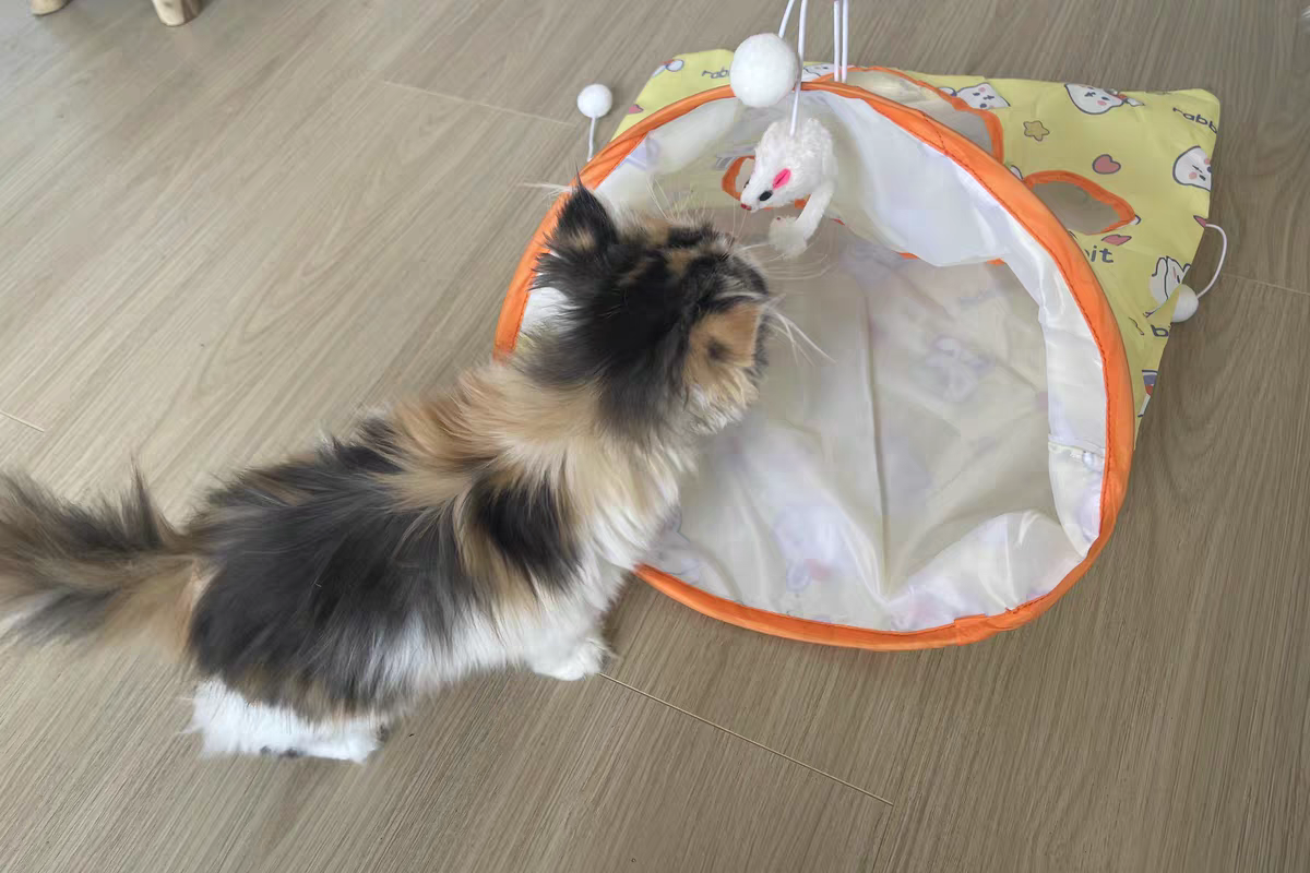 Cat Tunnel Toy 🐾 Crinkle Bag with Teaser Wand & Mouse Pet Play Fun