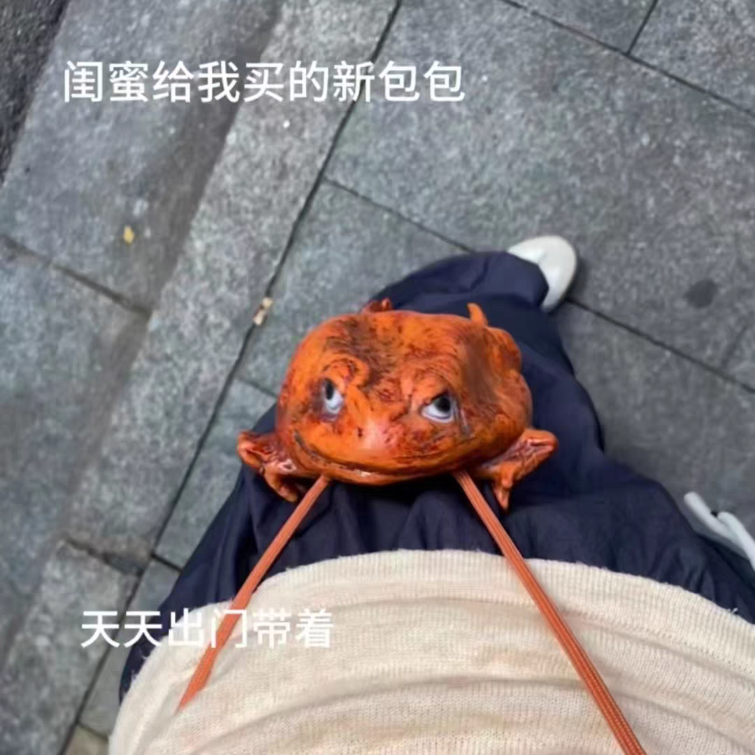 Funny Money Frog Coin Purse 🐸 Lucky Toad Gag Gift & Photo Prop