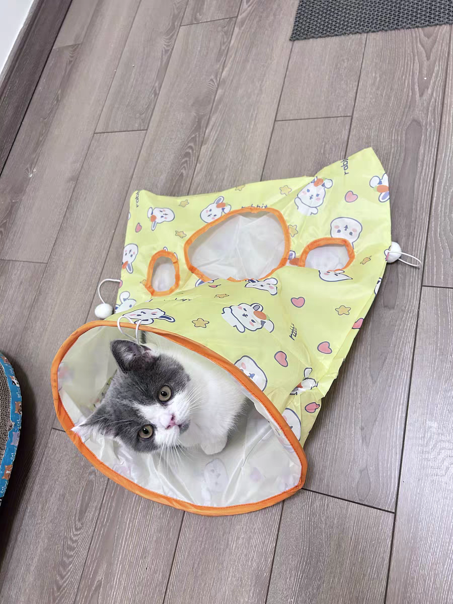Cat Tunnel Toy 🐾 Crinkle Bag with Teaser Wand & Mouse Pet Play Fun