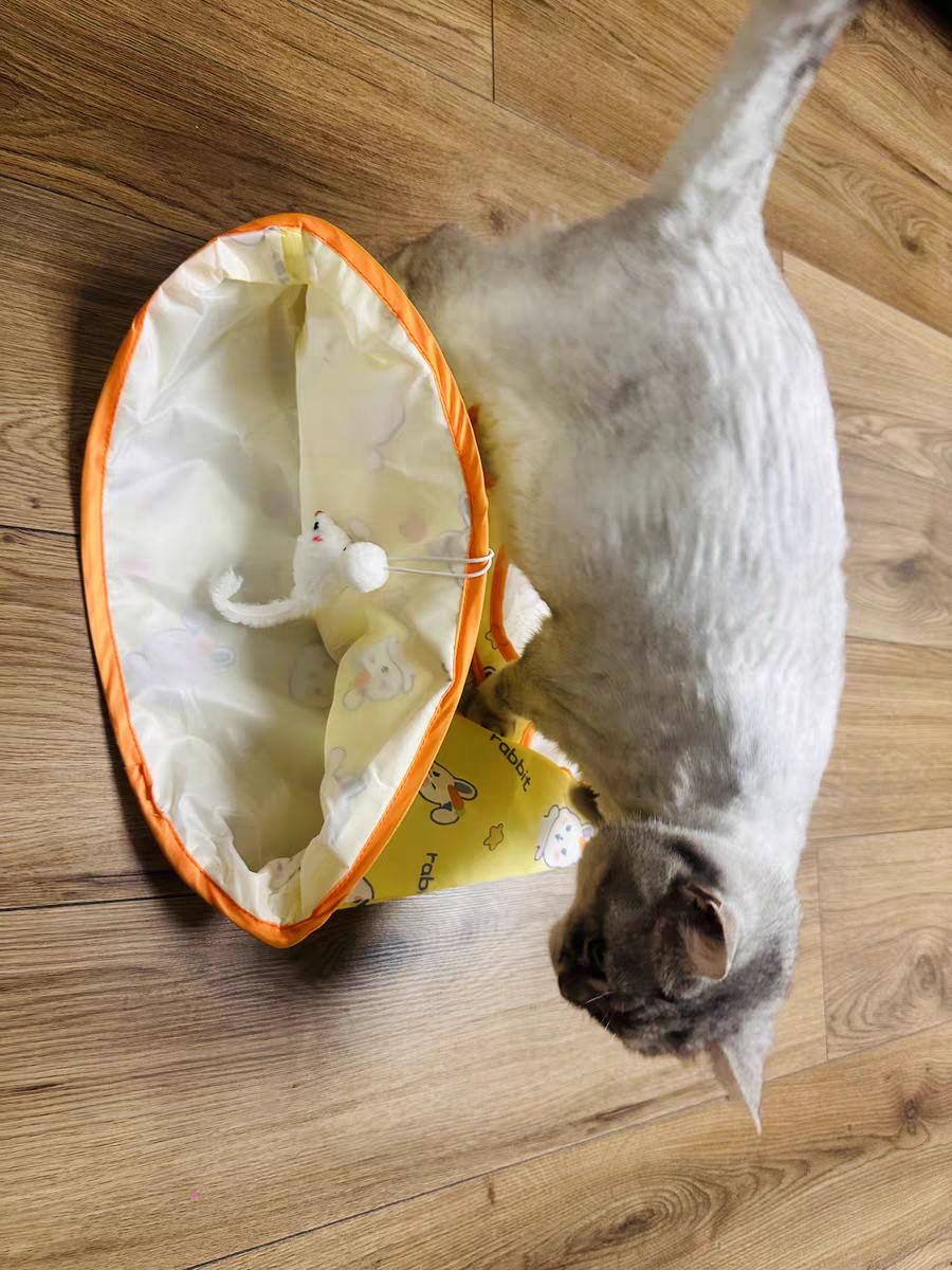Cat Tunnel Toy 🐾 Crinkle Bag with Teaser Wand & Mouse Pet Play Fun