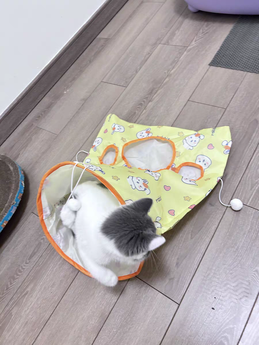 Cat Tunnel Toy 🐾 Crinkle Bag with Teaser Wand & Mouse Pet Play Fun