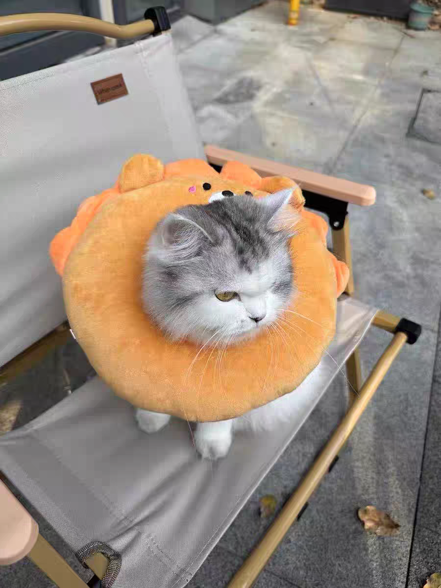 Cat Recovery Collar 🐱 Soft Elizabeth Cone Cute Anti-Lick Neck Ring Pet