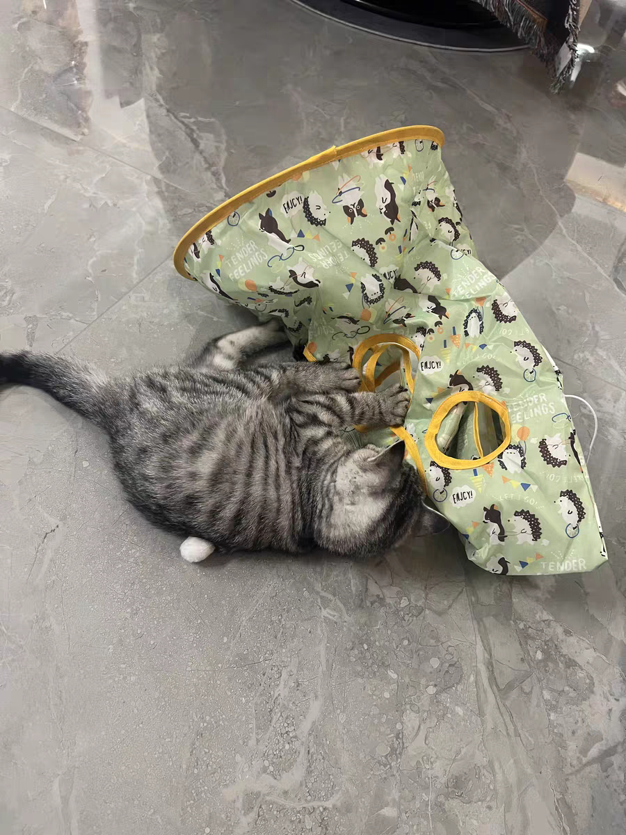 Cat Tunnel Toy 🐾 Crinkle Bag with Teaser Wand & Mouse Pet Play Fun
