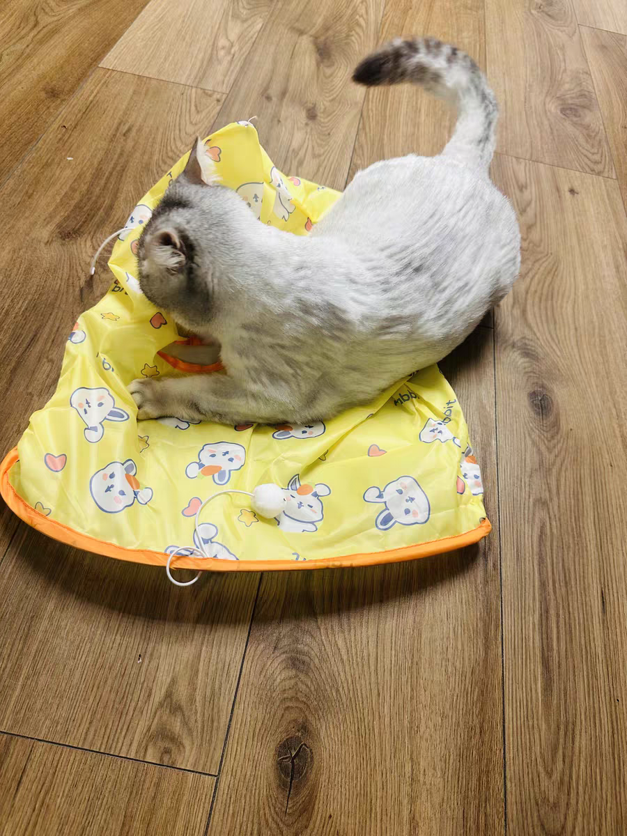 Cat Tunnel Toy 🐾 Crinkle Bag with Teaser Wand & Mouse Pet Play Fun
