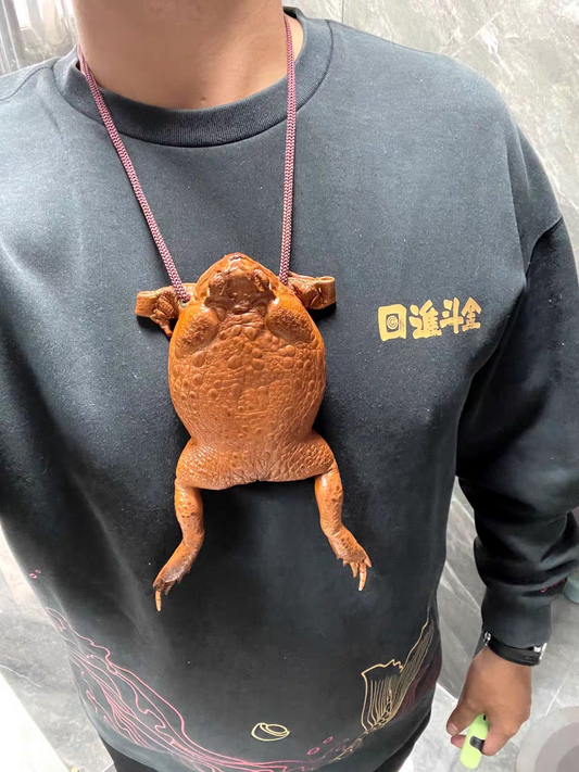 Funny Money Frog Coin Purse 🐸 Lucky Toad Gag Gift & Photo Prop
