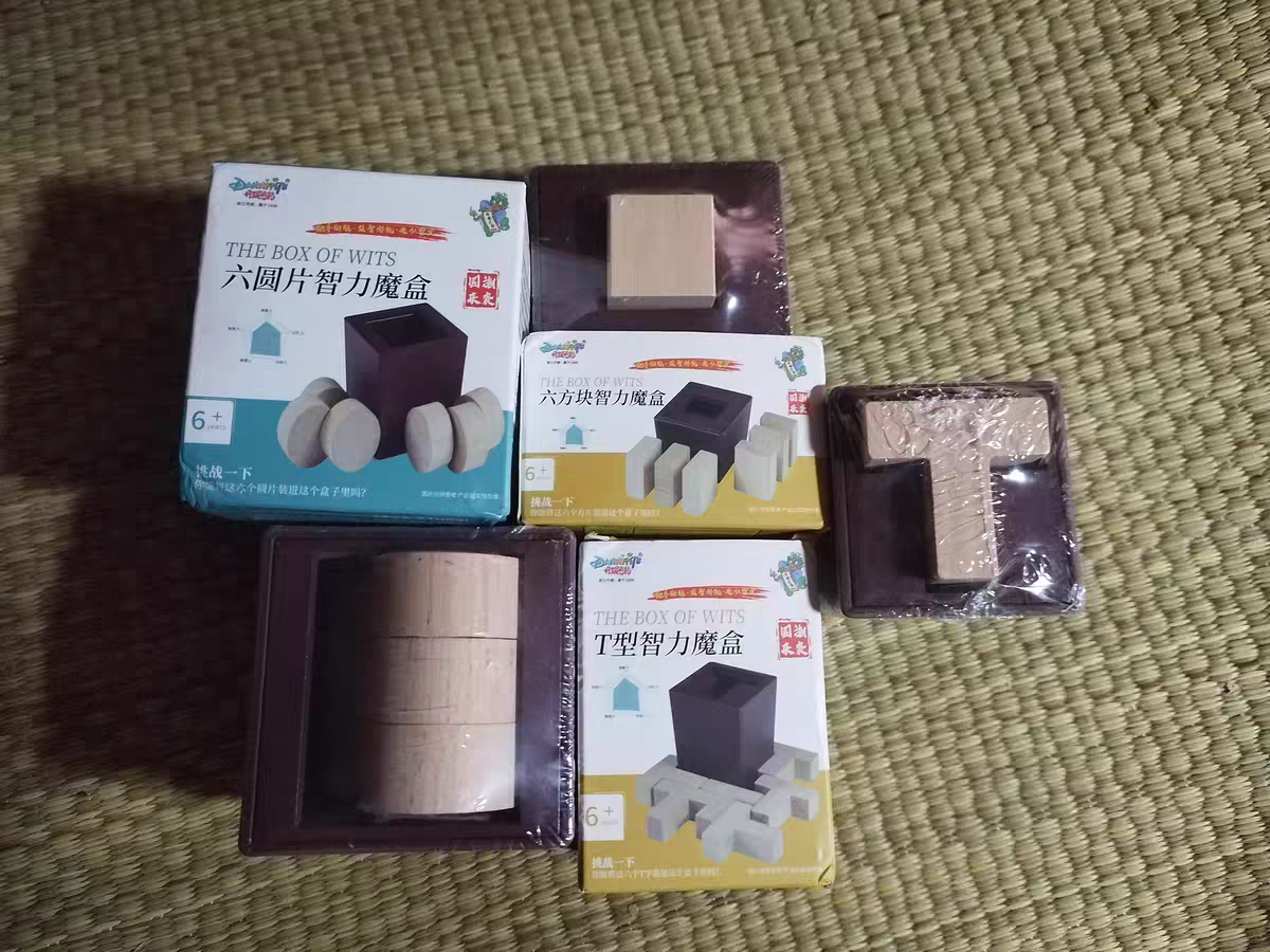 Wooden T-Puzzle Brain Teaser 🧩 Creative IQ Block Challenge Toy