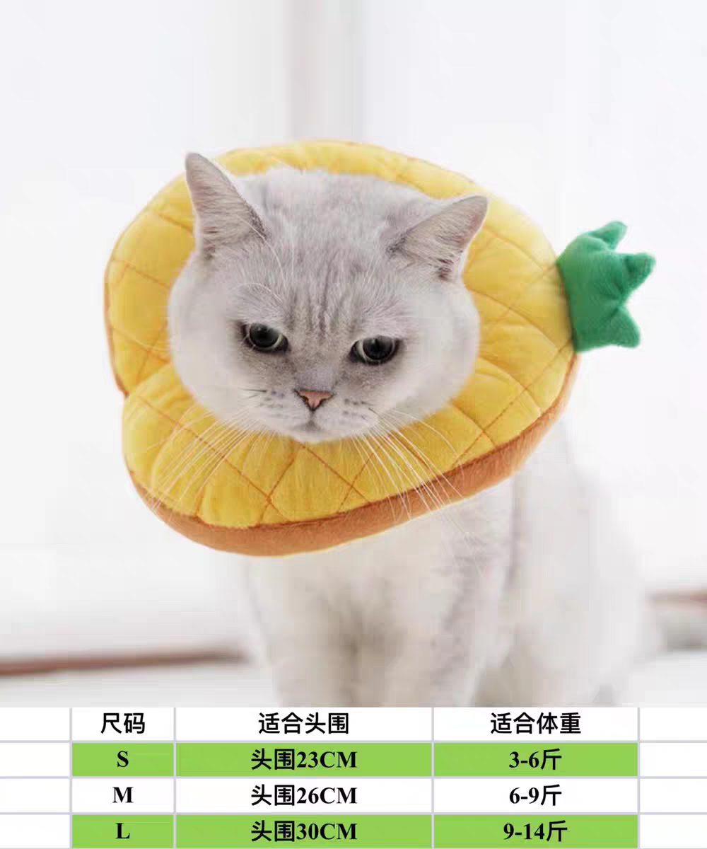 Cat Recovery Collar 🐱 Soft Elizabeth Cone Cute Anti-Lick Neck Ring Pet