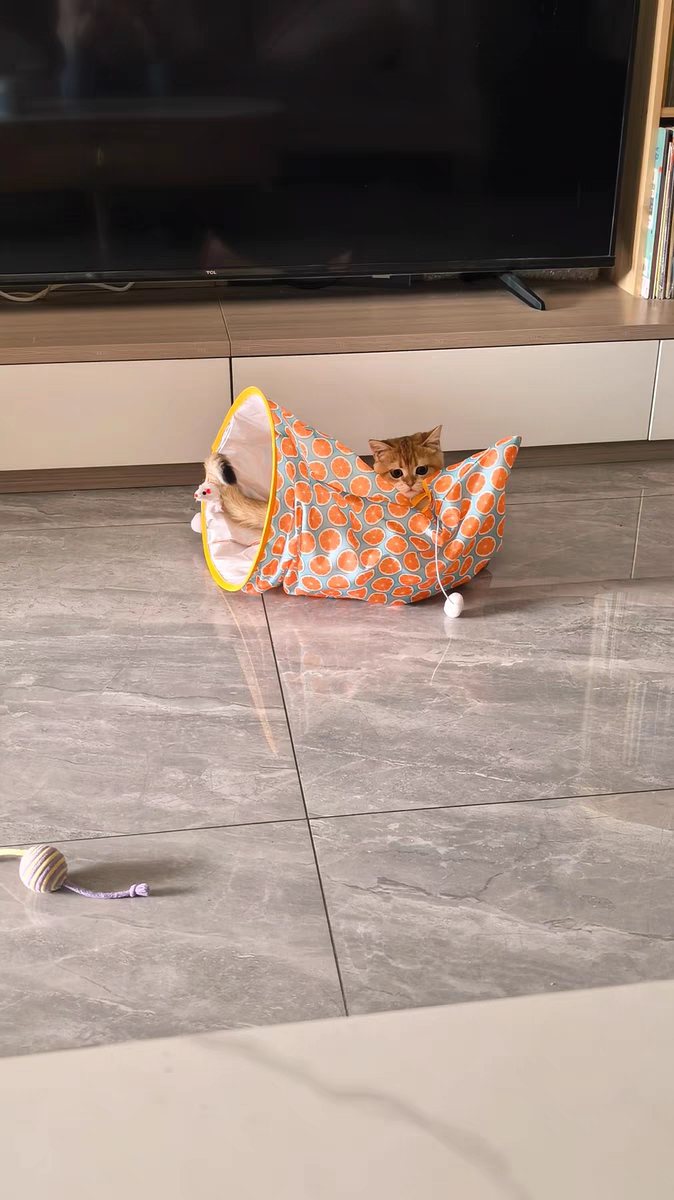 Cat Tunnel Toy 🐾 Crinkle Bag with Teaser Wand & Mouse Pet Play Fun