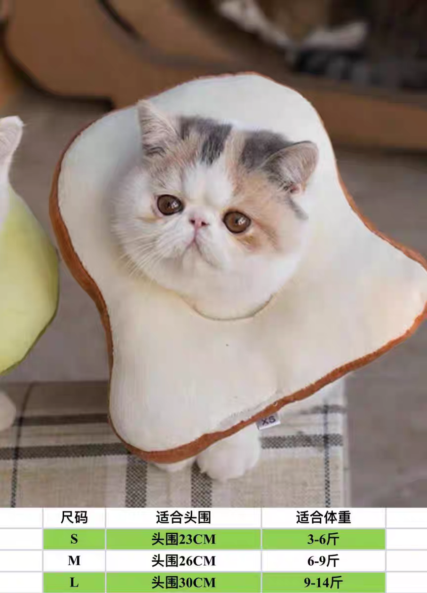 Cat Recovery Collar 🐱 Soft Elizabeth Cone Cute Anti-Lick Neck Ring Pet